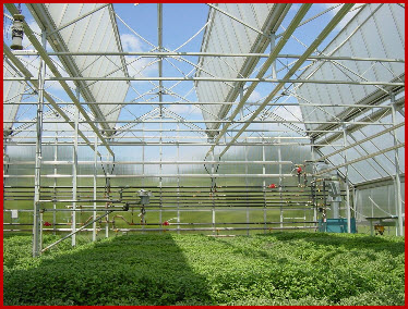 DMGH: Lesson 18 Cooling, Shedding And Ventilation Systems Of Greenhouse